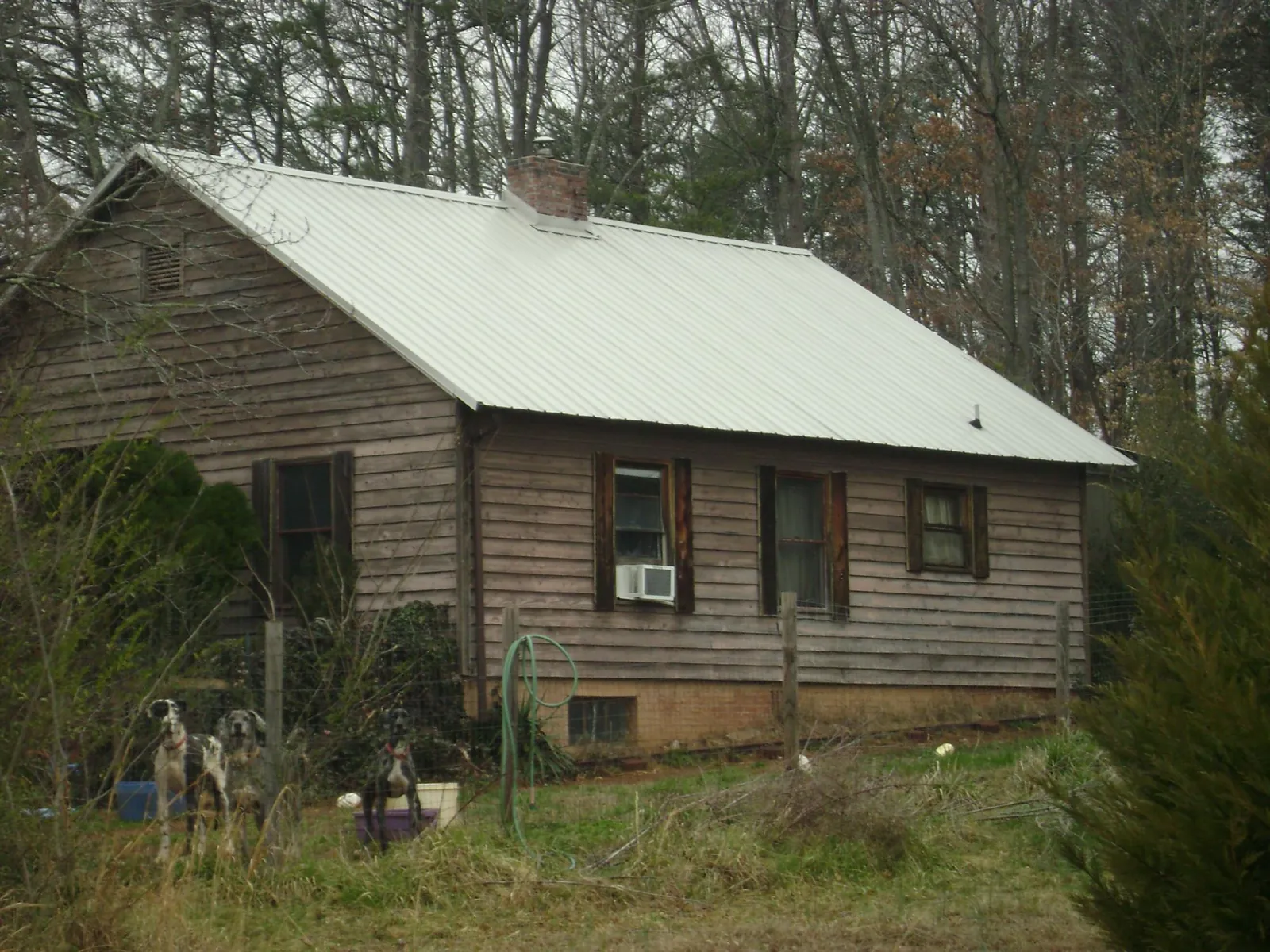 White metal roof on an old wood sided farmhouse, from a Asphalt Shingle Roof Repair job in Fort Ogden